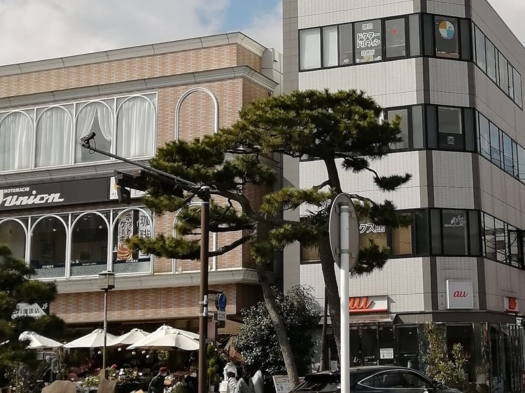鎌倉小町通り歯科