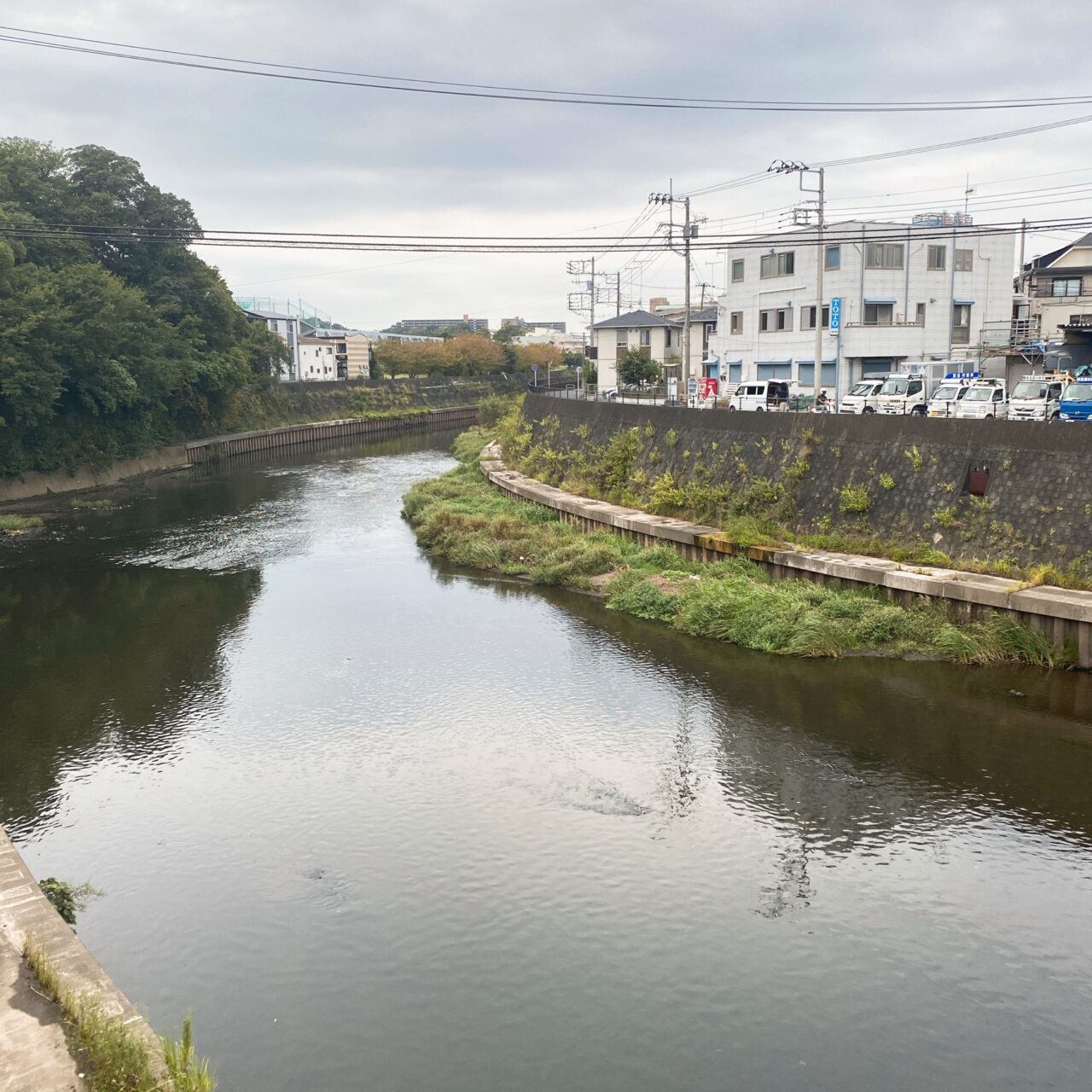 柏尾川鎌倉