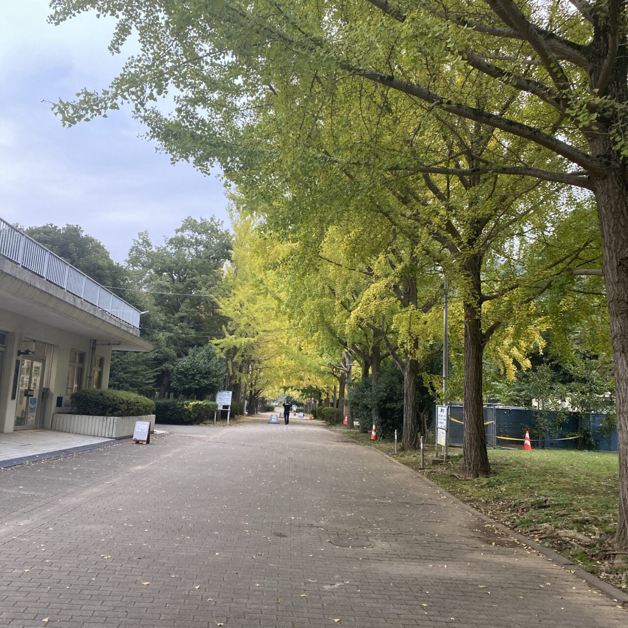 南郷公園