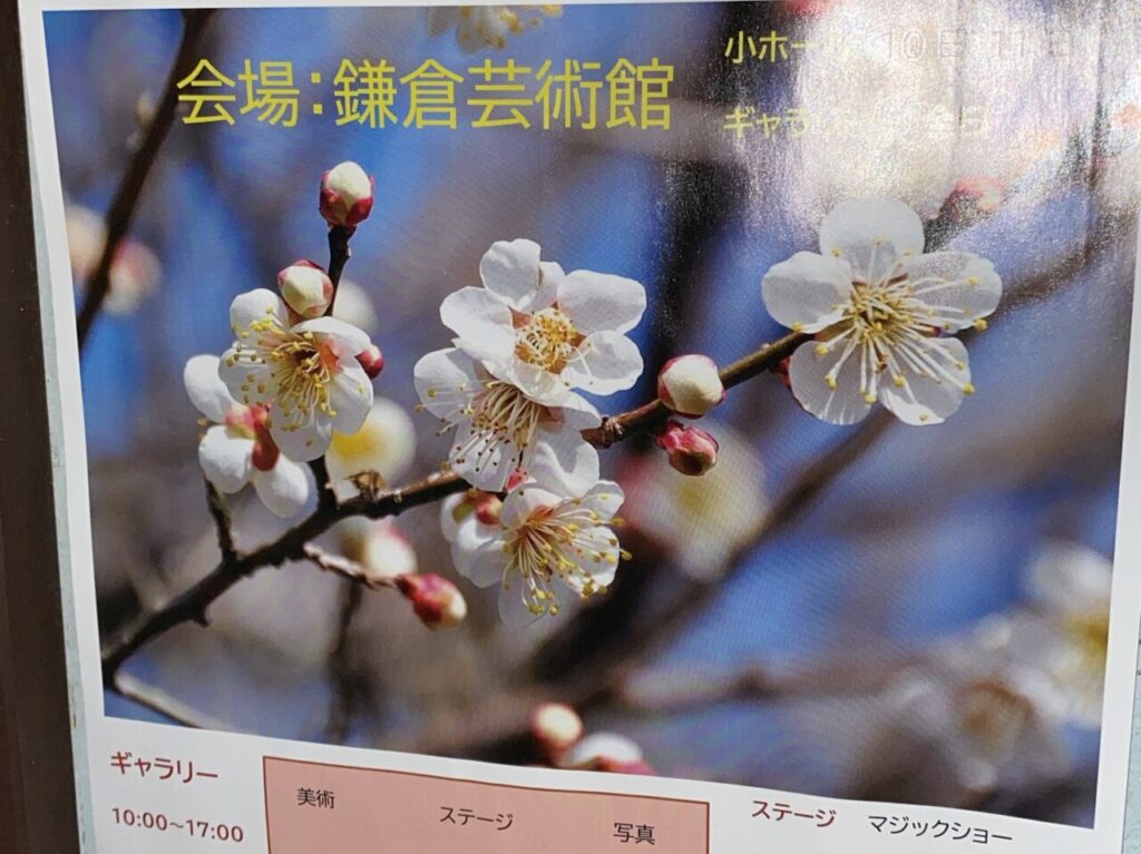 fes60