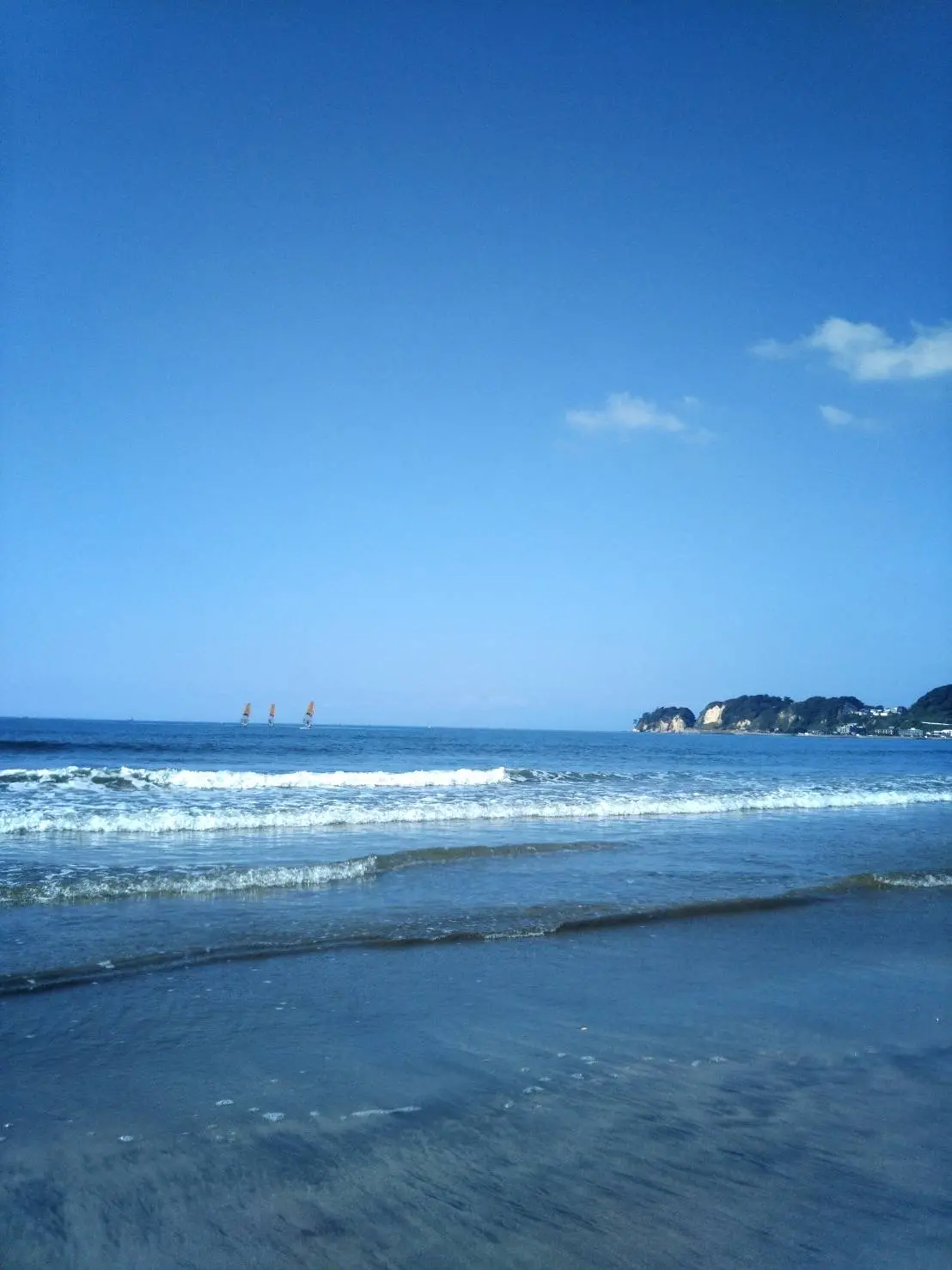 逗子海岸避難訓練