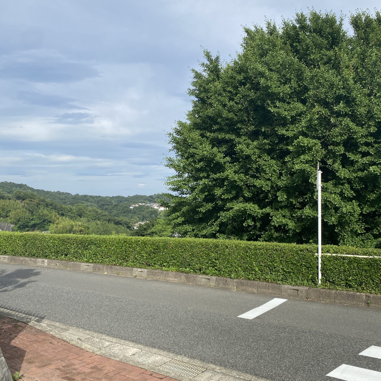 笛田公園イベント