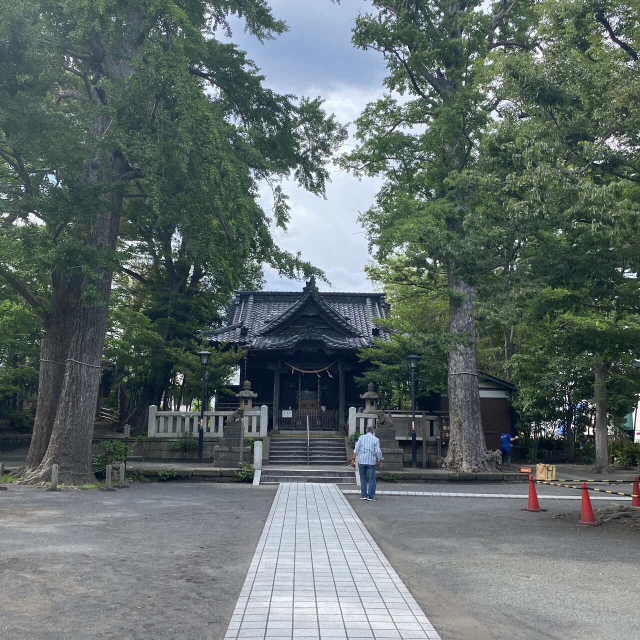 逗子イベント