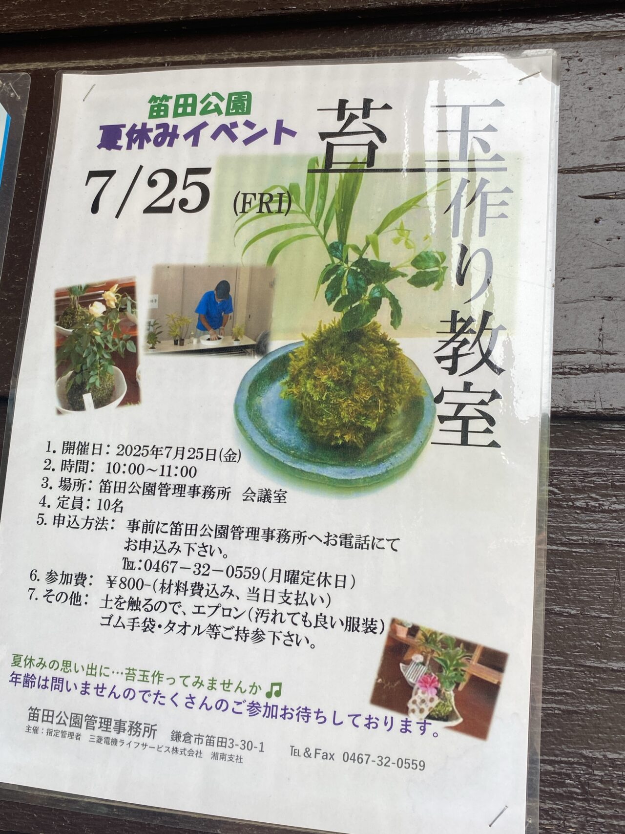 笛田公園イベント