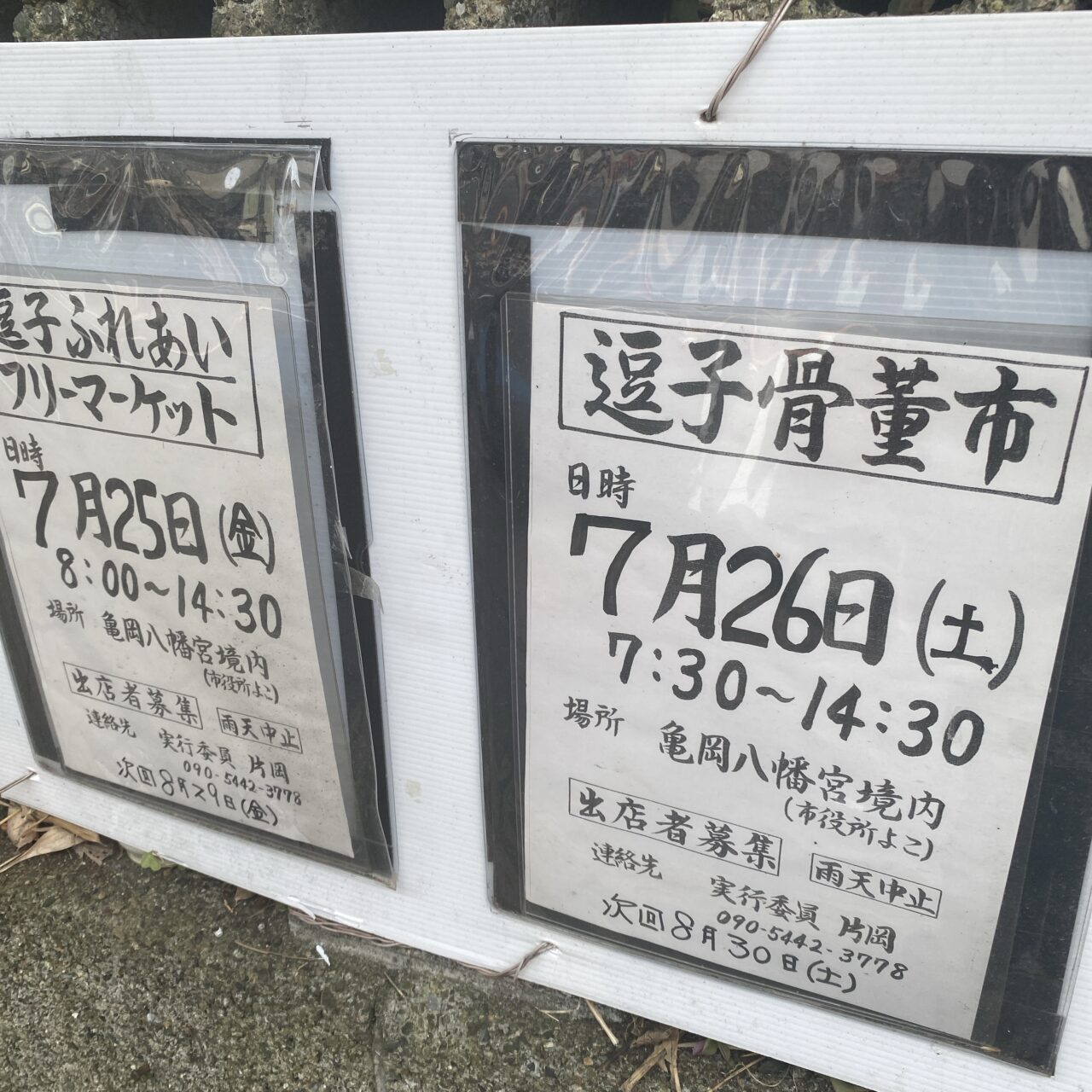 逗子イベント
