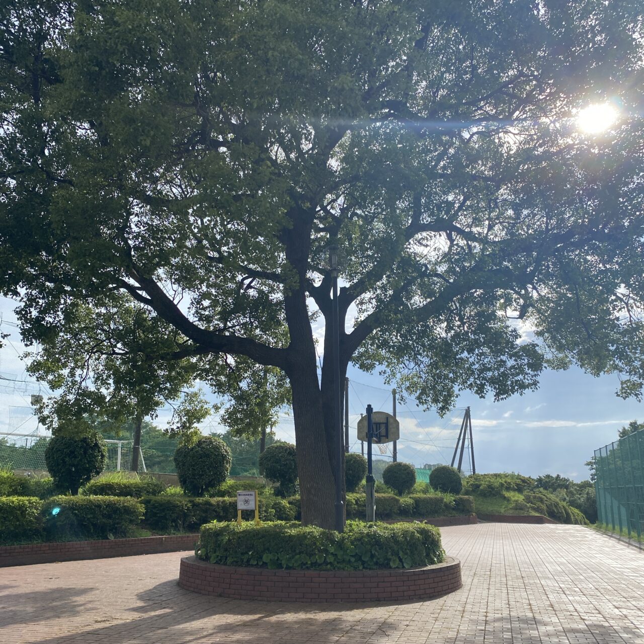 笛田公園イベント