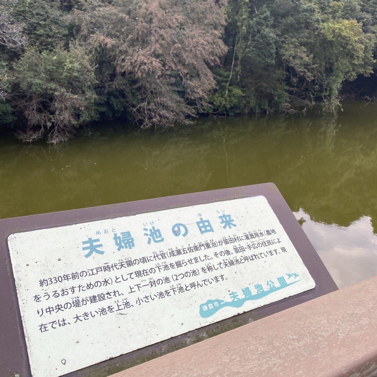 夫婦池公園