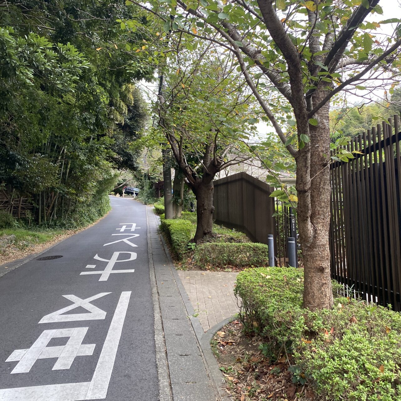 夫婦池公園