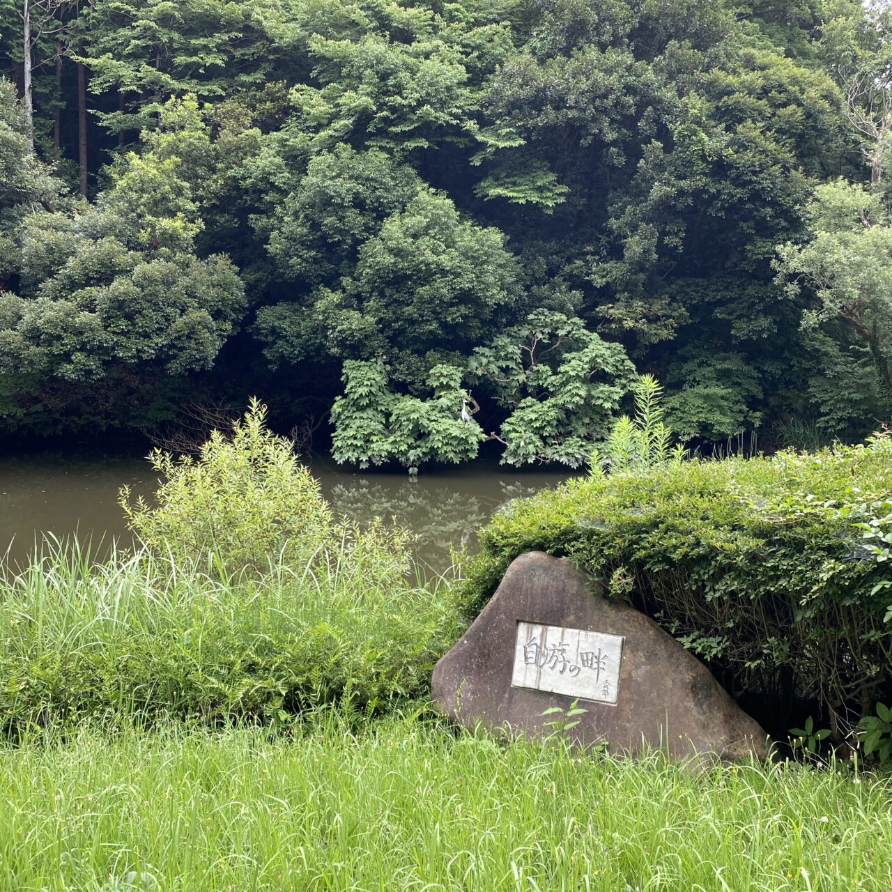 鎌倉中央公園フェスティバル