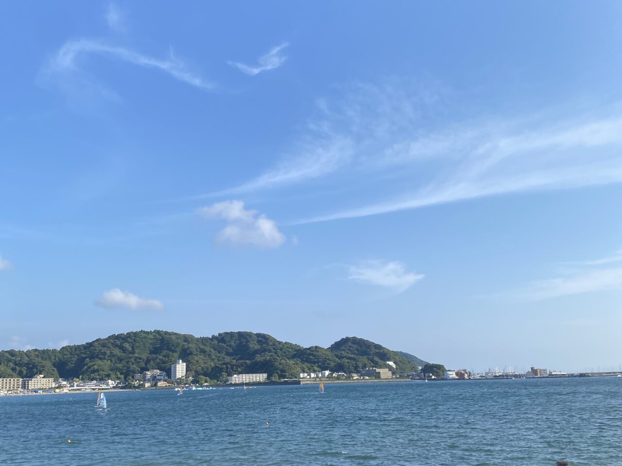 磯焼け対策
