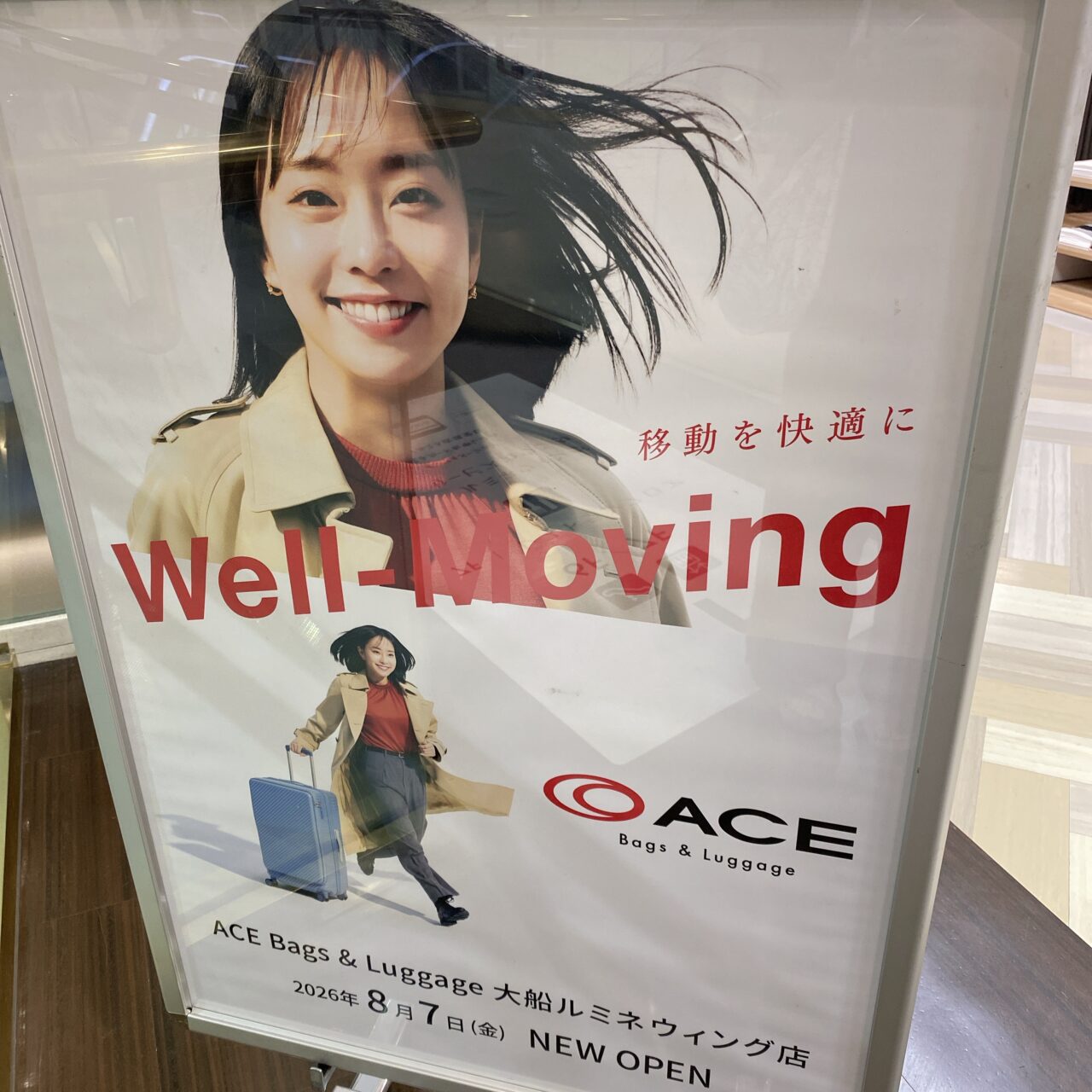 ACE Bags & Luggage